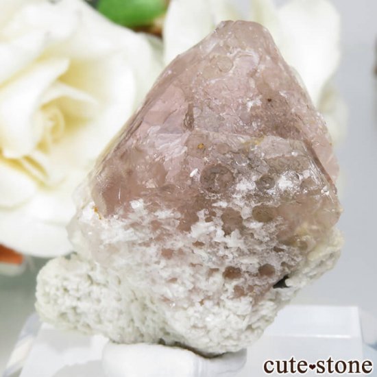  󥴥뻺Υԥ󥯥ե饤Ȥη뾽ʸСNo.9μ̿2 cute stone