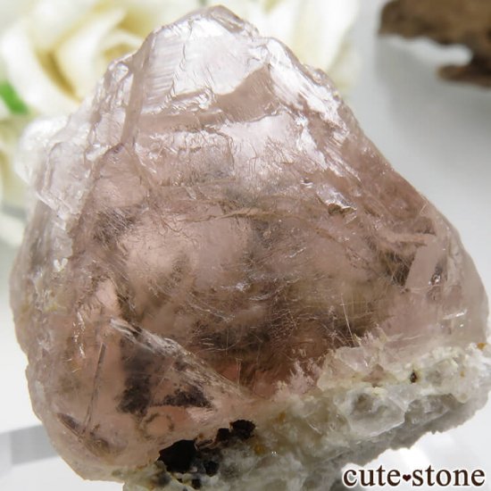  󥴥뻺Υԥ󥯥ե饤Ȥη뾽ʸСNo.9μ̿3 cute stone