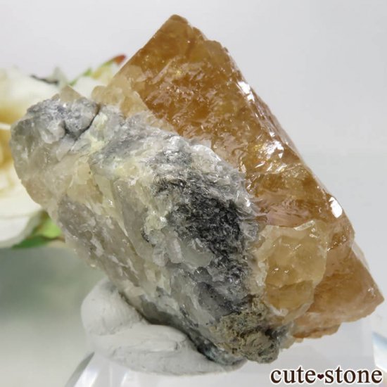 ʻ 饤ȡ⥹ХȤθ No.7μ̿0 cute stone