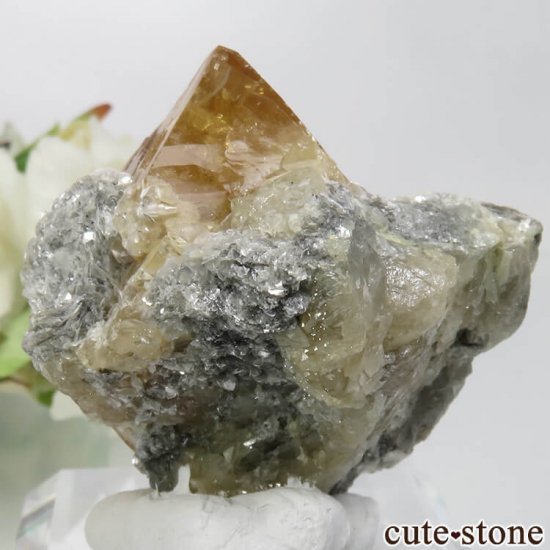  ʻ 饤ȡ⥹ХȤθ No.7μ̿1 cute stone