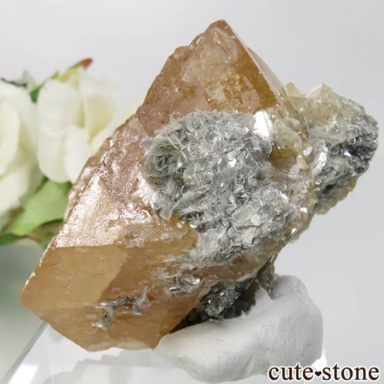  ʻ 饤ȡ⥹ХȤθ No.7μ̿2 cute stone