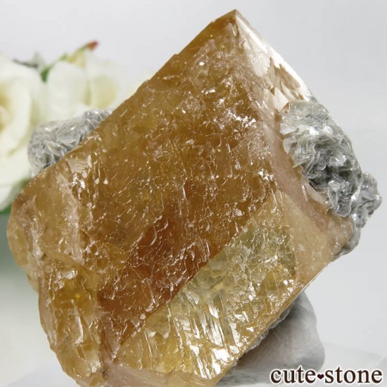  ʻ 饤ȡ⥹ХȤθ No.7μ̿3 cute stone