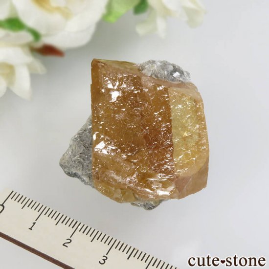  ʻ 饤ȡ⥹ХȤθ No.7μ̿4 cute stone