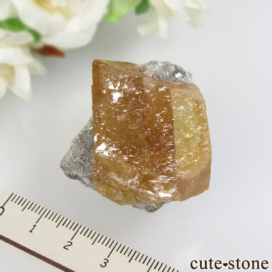  ʻ 饤ȡ⥹ХȤθ No.7μ̿5 cute stone
