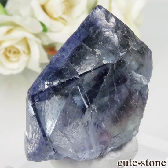 䥪󥷥 ֥롼ե饤 No.31μ̿1 cute stone