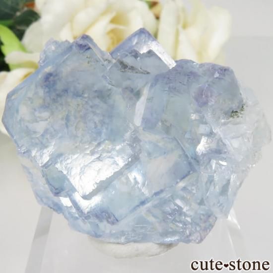 䥪󥷥 ֥롼ե饤 No.32