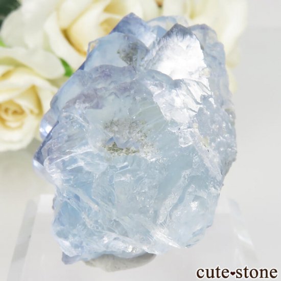 䥪󥷥 ֥롼ե饤 No.32μ̿2 cute stone