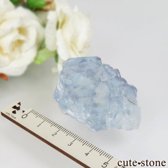 䥪󥷥 ֥롼ե饤 No.32μ̿3 cute stone