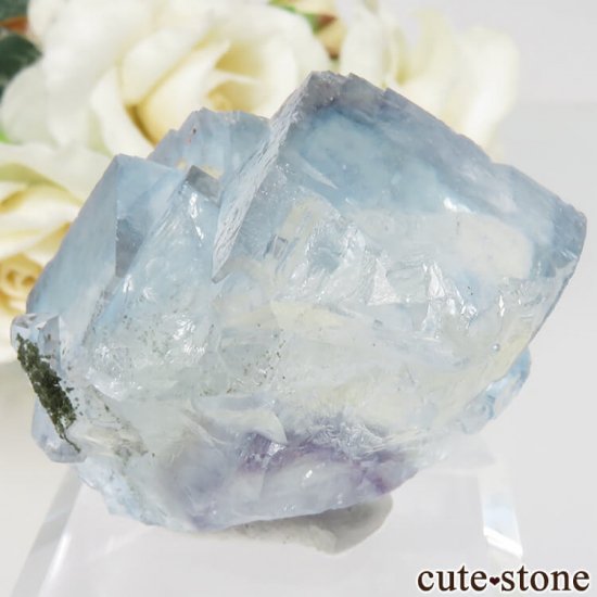 䥪󥷥 ֥롼ե饤& No.33μ̿1 cute stone