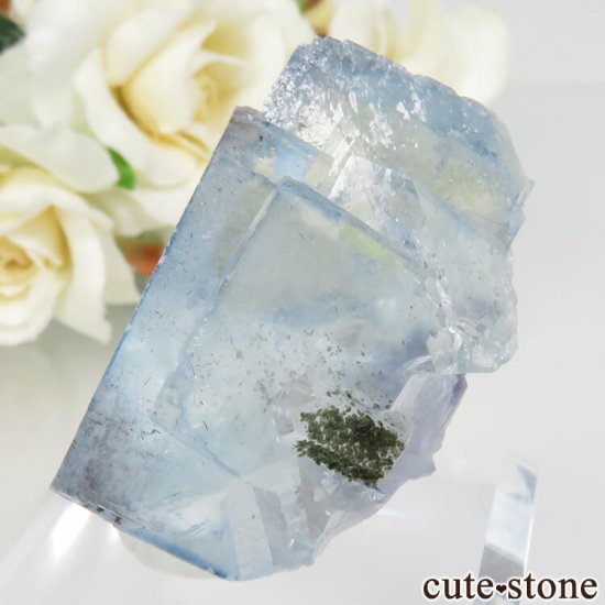 䥪󥷥 ֥롼ե饤& No.33μ̿2 cute stone