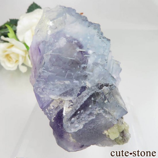 䥪󥷥 ֥롼ե饤ȡ⥹Х No.34μ̿0 cute stone