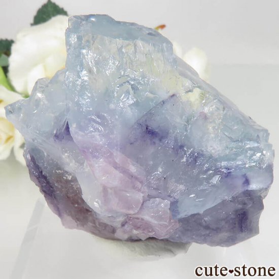 䥪󥷥 ֥롼ե饤ȡ⥹Х No.34μ̿1 cute stone