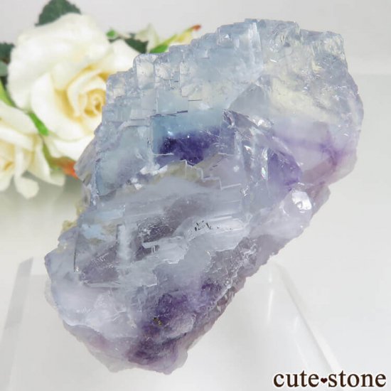 䥪󥷥 ֥롼ե饤ȡ⥹Х No.34μ̿2 cute stone