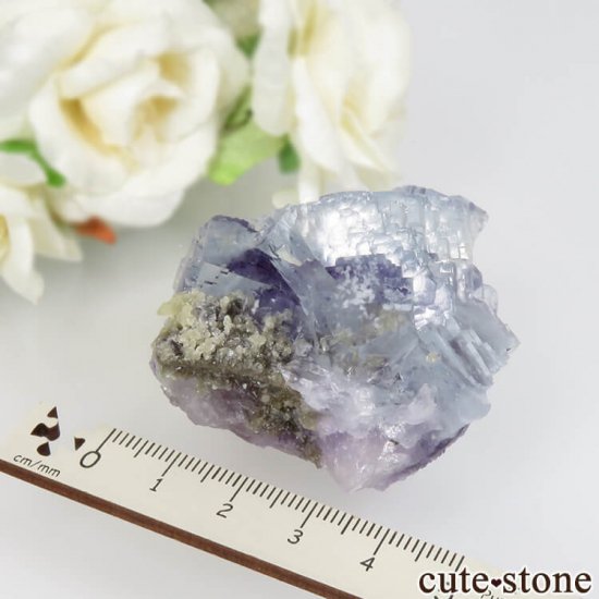 䥪󥷥 ֥롼ե饤ȡ⥹Х No.34μ̿5 cute stone