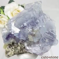 䥪󥷥 ֥롼ե饤ȡ⥹Х No.34β