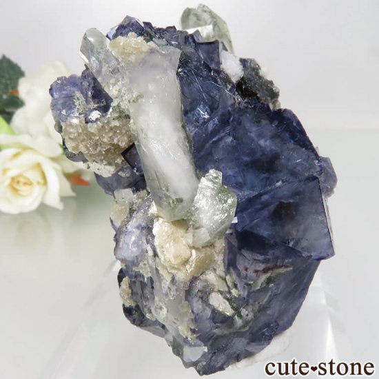 䥪󥷥 ֥롼ե饤ȡġ饤ȡ⥹Х No.35μ̿0 cute stone