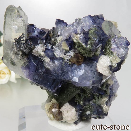 䥪󥷥 ֥롼ե饤ȡġ饤ȡ⥹Х No.35μ̿1 cute stone