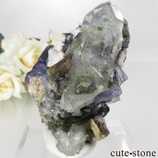 䥪󥷥 ֥롼ե饤ȡġ饤ȡ⥹Х No.35μ̿2 cute stone