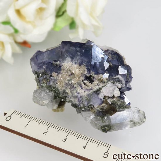 䥪󥷥 ֥롼ե饤ȡġ饤ȡ⥹Х No.35μ̿4 cute stone