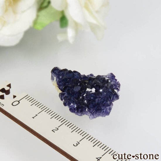 䥪󥷥 ֥롼ե饤 No.37μ̿0 cute stone