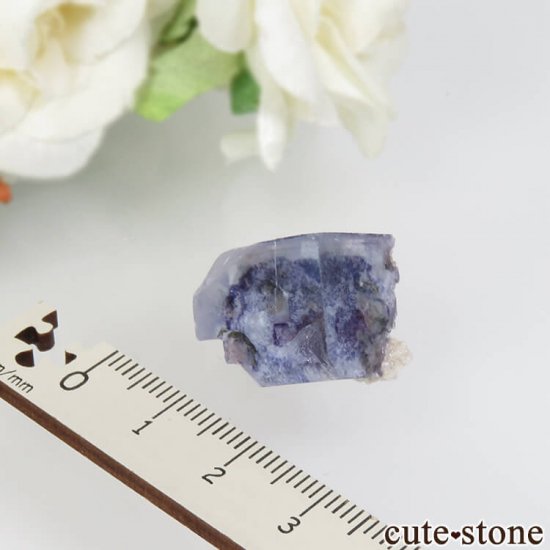 䥪󥷥 ֥롼ե饤 No.38μ̿0 cute stone