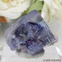 䥪󥷥 ֥롼ե饤 No.38β