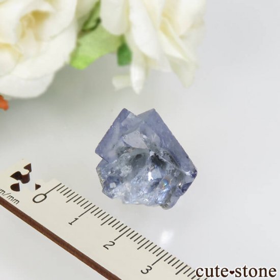 䥪󥷥 ֥롼ե饤 No.39μ̿0 cute stone