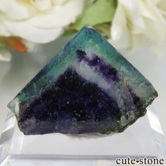 䥪󥷥 ꡼ߥѡץߥ饤ȥ֥롼ե饤 No.40