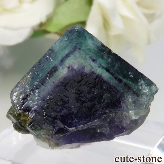 䥪󥷥 ꡼ߥѡץߥ饤ȥ֥롼ե饤 No.40μ̿1 cute stone