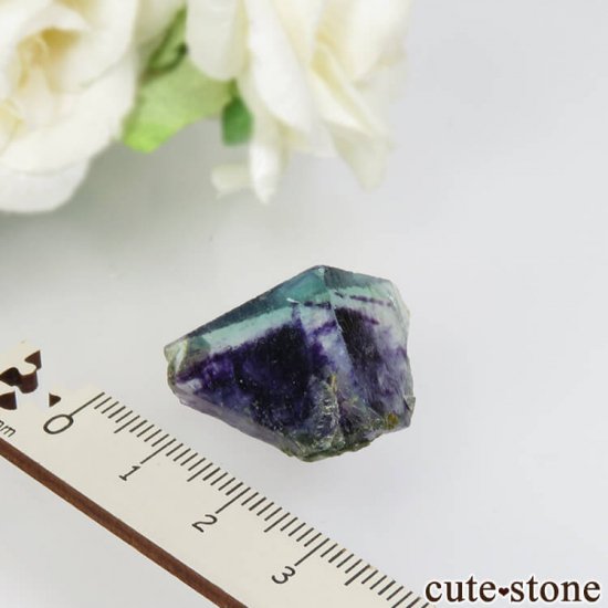 䥪󥷥 ꡼ߥѡץߥ饤ȥ֥롼ե饤 No.40μ̿2 cute stone