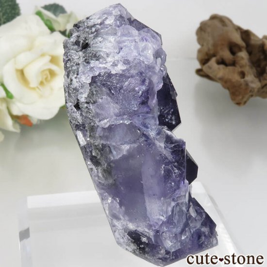 ʡ Xia Yang Mine ѡץե饤Ȥդ No.28μ̿0 cute stone
