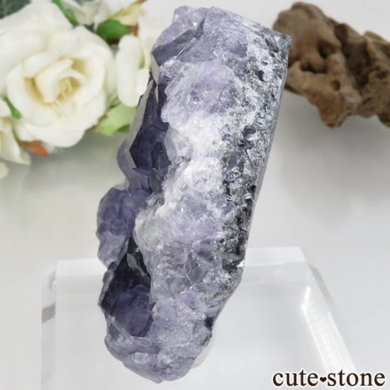 ʡ Xia Yang Mine ѡץե饤Ȥդ No.28μ̿2 cute stone