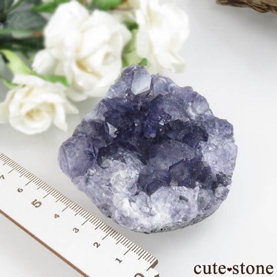 ʡ Xia Yang Mine ѡץե饤Ȥդ No.28μ̿3 cute stone