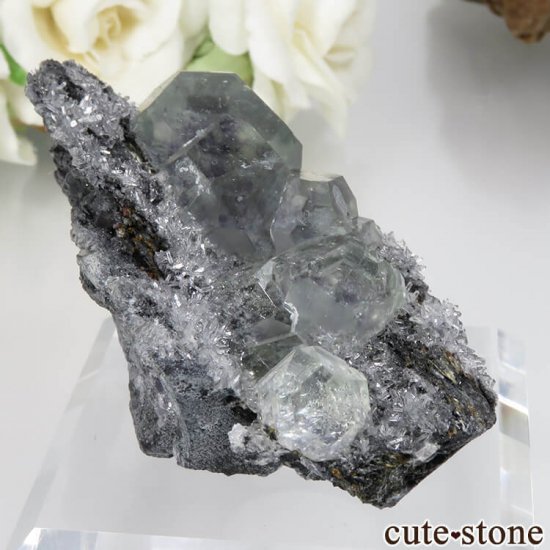 ʡ Xia Yang Mine ꡼ߥ֥롼ե饤ȡĤդ No.29μ̿0 cute stone