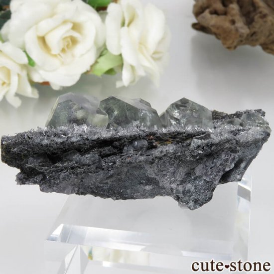 ʡ Xia Yang Mine ꡼ߥ֥롼ե饤ȡĤդ No.29μ̿1 cute stone