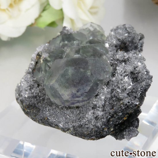 ʡ Xia Yang Mine ꡼ߥ֥롼ե饤ȡĤդ No.29μ̿2 cute stone