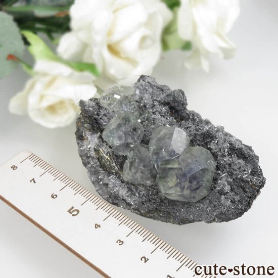 ʡ Xia Yang Mine ꡼ߥ֥롼ե饤ȡĤդ No.29μ̿4 cute stone