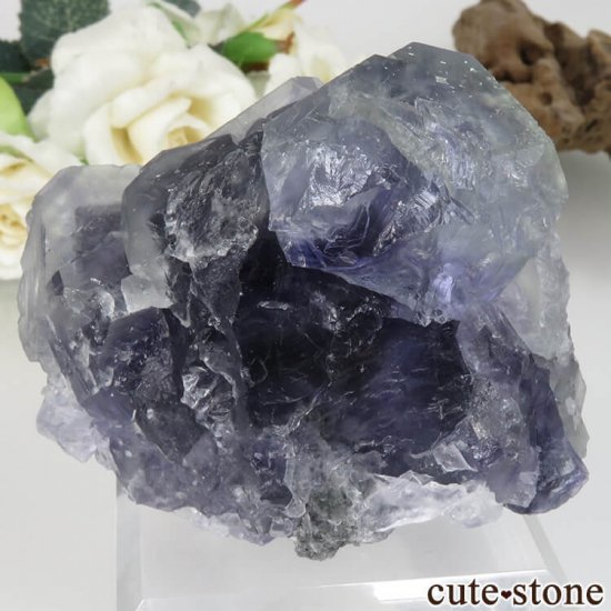 ʡ Xia Yang Mine ѡץ饤ȥ꡼ե饤Ȥθ No.30μ̿1 cute stone