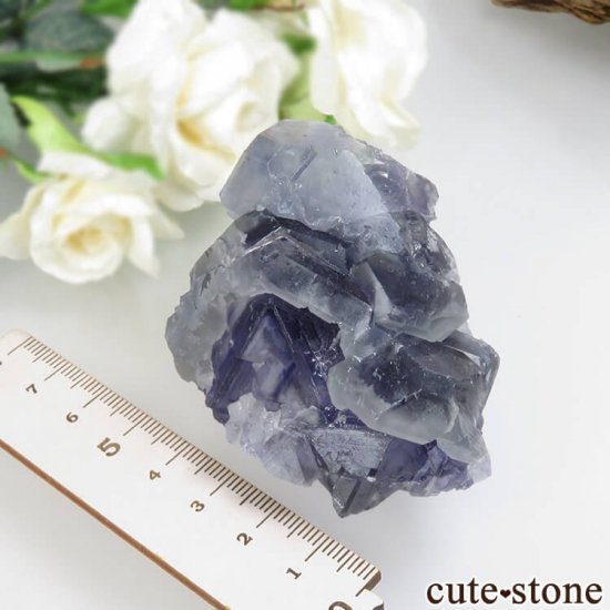 ʡ Xia Yang Mine ѡץ饤ȥ꡼ե饤Ȥθ No.30μ̿3 cute stone