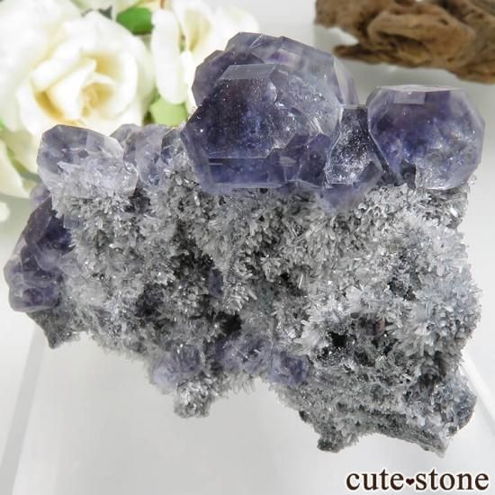 ʡ Xia Yang Mine ѡץե饤ȡĤդ No.31μ̿1 cute stone