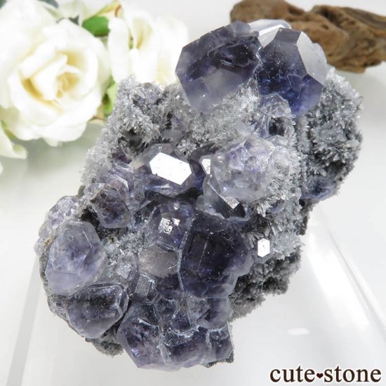 ʡ Xia Yang Mine ѡץե饤ȡĤդ No.31μ̿2 cute stone