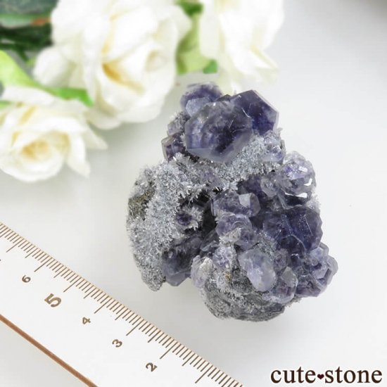 ʡ Xia Yang Mine ѡץե饤ȡĤդ No.31μ̿4 cute stone