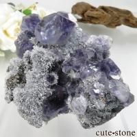 ʡ Xia Yang Mine ѡץե饤ȡĤդ No.31β