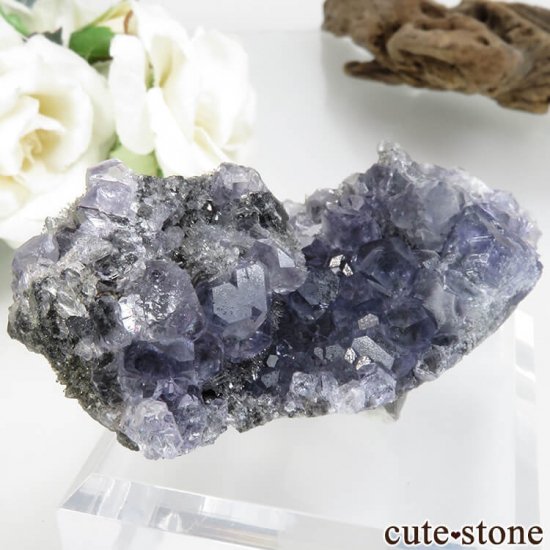 ʡ Xia Yang Mine ѡץե饤ȡĤդ No.32μ̿0 cute stone