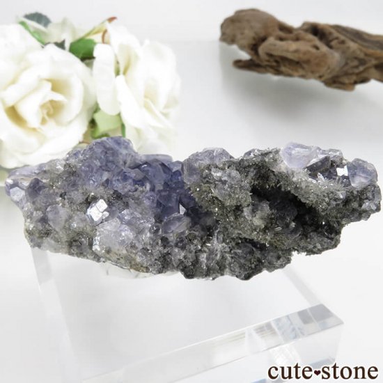 ʡ Xia Yang Mine ѡץե饤ȡĤդ No.32μ̿1 cute stone