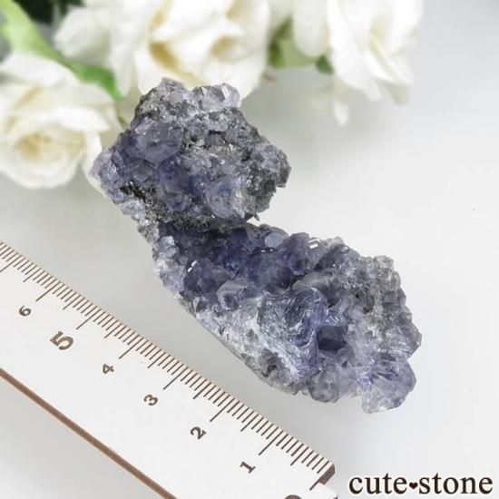 福建省 Xia Yang Mine産 パープルフローライト＆クォーツの母岩