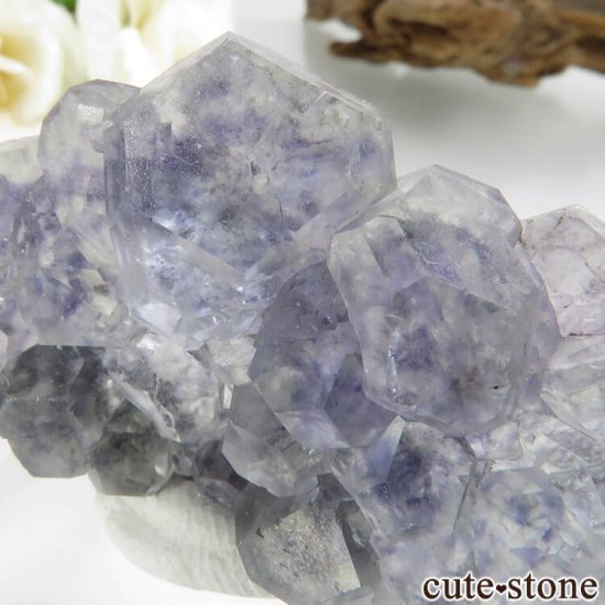 ʡ Xia Yang Mine ֥롼ߥ꡼ե饤Ȥդ No.33μ̿1 cute stone