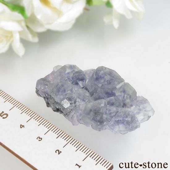 福建省 Xia Yang Mine産 ブルー×グリーンフローライトの母岩付き原石 No.33の写真2 cute stone