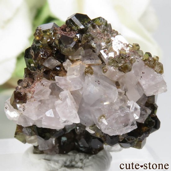 ֥饸뻺 ɥХȡʥȥޥˡޥͥȤդ No.1μ̿1 cute stone
