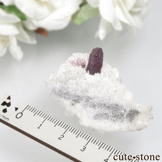 ʻ äʥ󥷥˥ʥСɥޥȤդ No.1μ̿3 cute stone